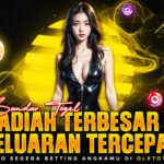 Bandar Togel